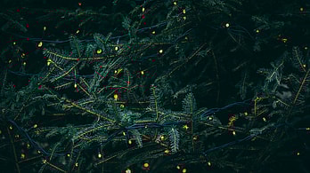 6 Interesting Winter Holidays Around the World That Aren’t Christmas