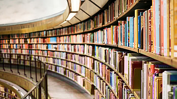 6 Best Books of 2025 You Need to Read