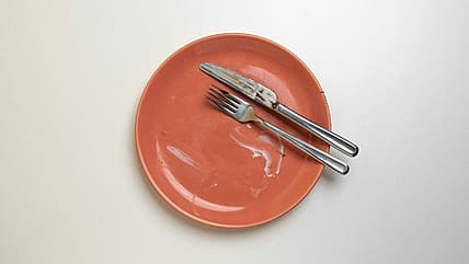 plate and silverware / horrid ancient roman foods