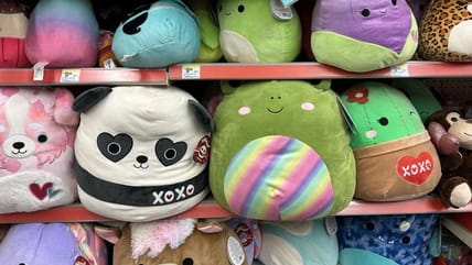 Why Are People Obsessed with Tuluck Squishmallow?