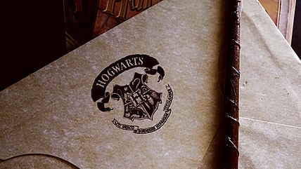 harry potter rare collectibles