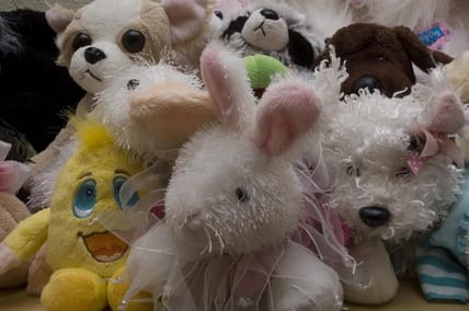 most expensive webkinz