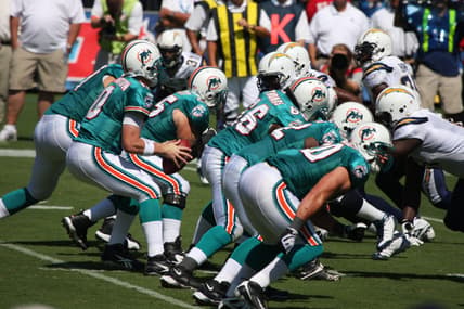 Miami Dolphins Collectibles