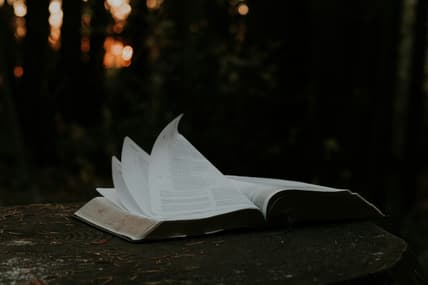 open book with dark background / horror novels