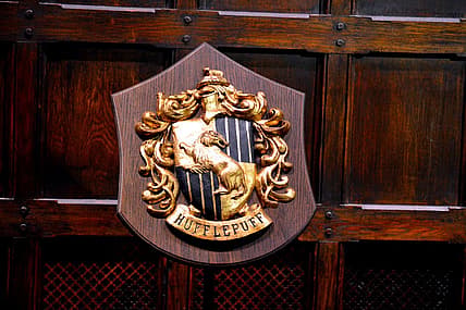 best Hufflepuff collectibles