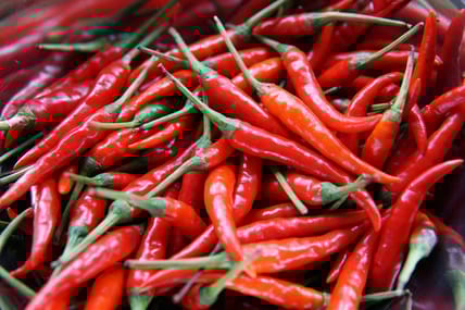 hottest peppers in the world