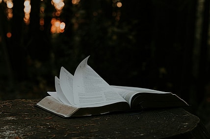 open book with dark background / horror novels