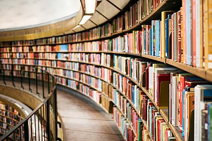 arched bookshelf / best books of 2025