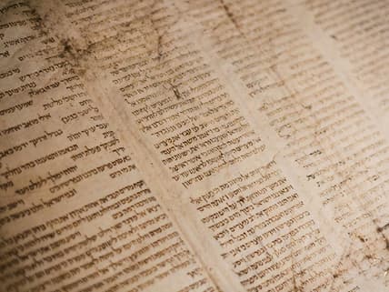 rarest historical documents, Unsplash