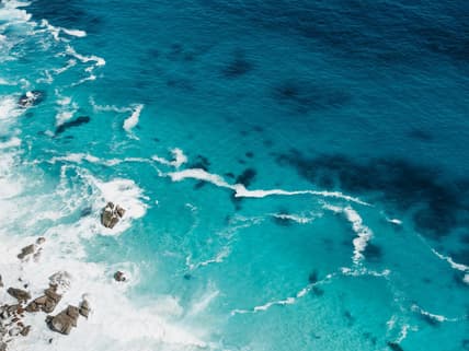 Weird Facts About the Ocean Unsplash