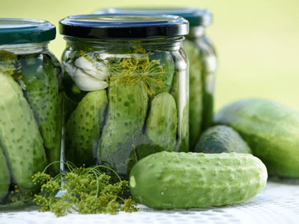 food preservation methods from history