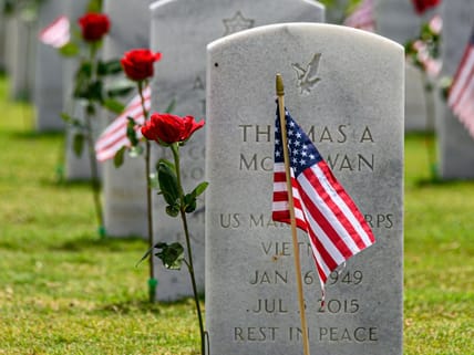 Fun Facts About Memorial Day Unsplash