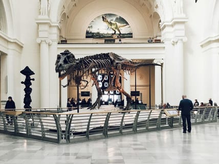 Best Museums in Chicago for Nerds, Unsplash
