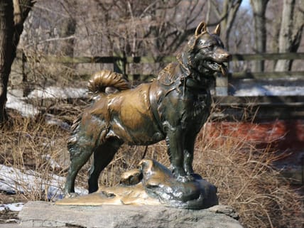 animals that changed history