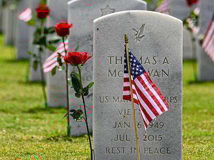 Fun Facts About Memorial Day Unsplash