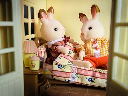 Rare Calico Critters, Flickr