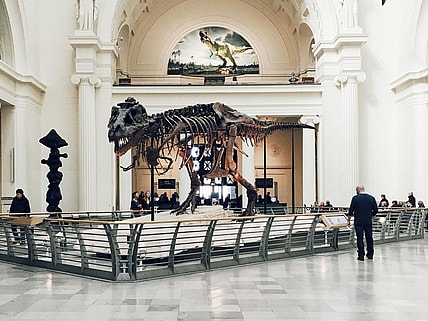 Best Museums in Chicago for Nerds, Unsplash