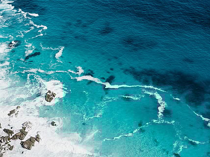 Weird Facts About the Ocean Unsplash