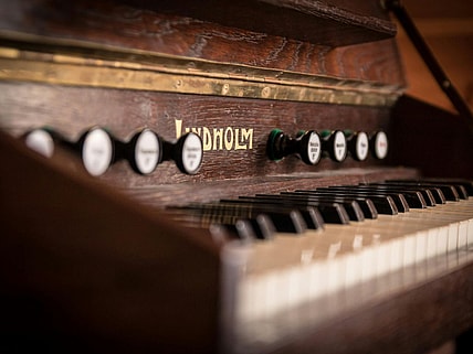 antique musical instruments
