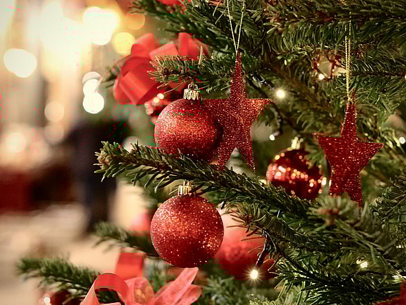 Most Expensive Christmas Trees, Unsplash