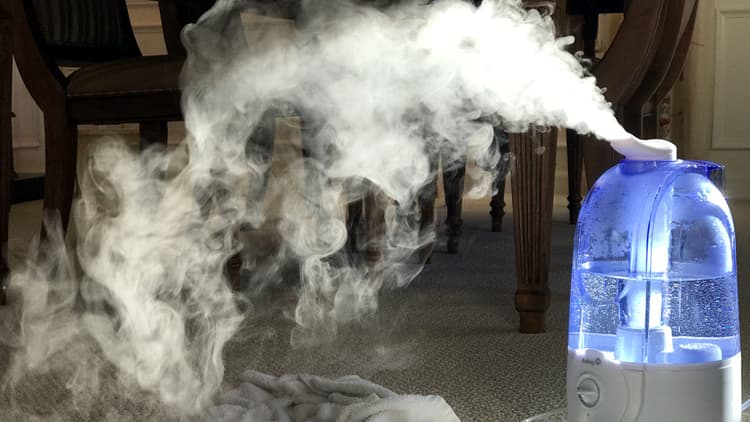 Best Humidifiers
