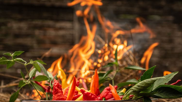 Worlds Hottest Foods