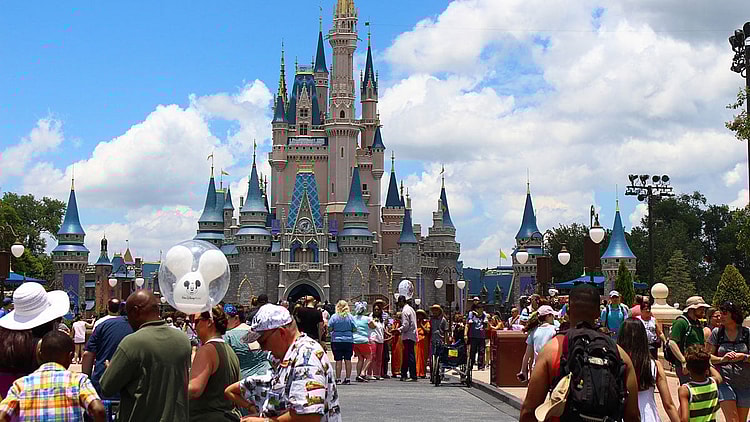 Disney Collectibles