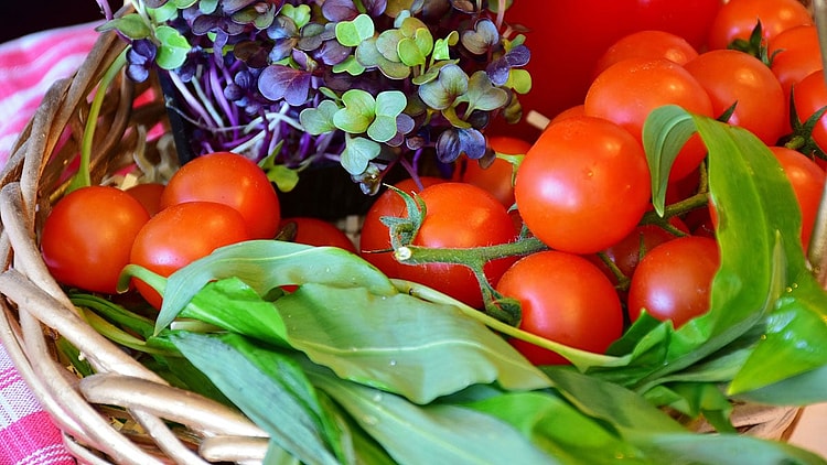 Vegetable Container Gadening