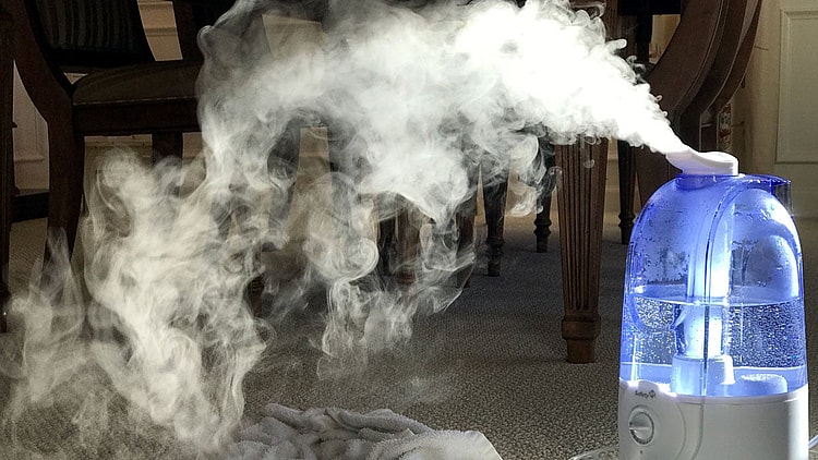 Best Humidifiers