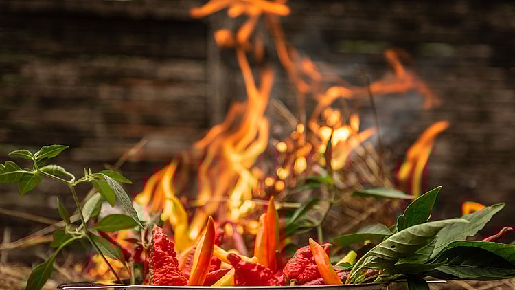 Worlds Hottest Foods
