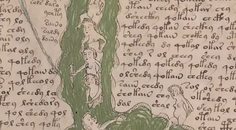 Voynich Manuscript Youtube