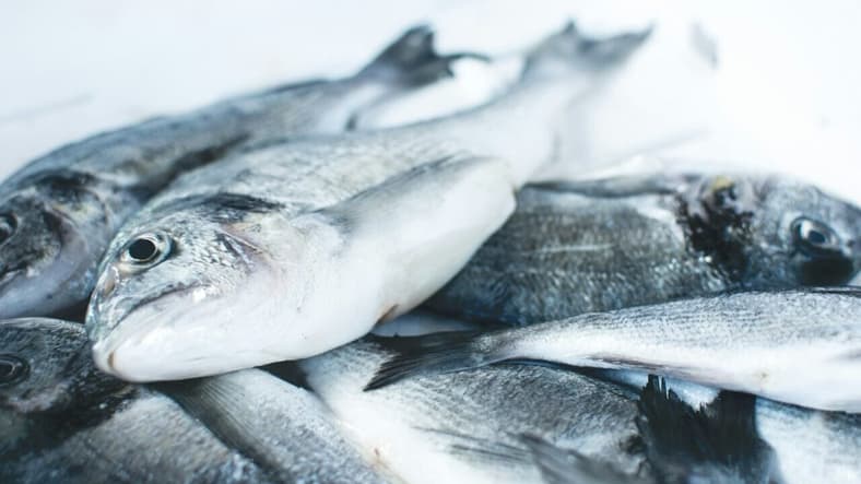 pile of fish