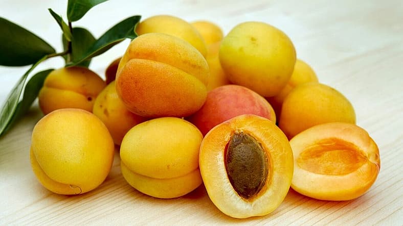 apricots on table