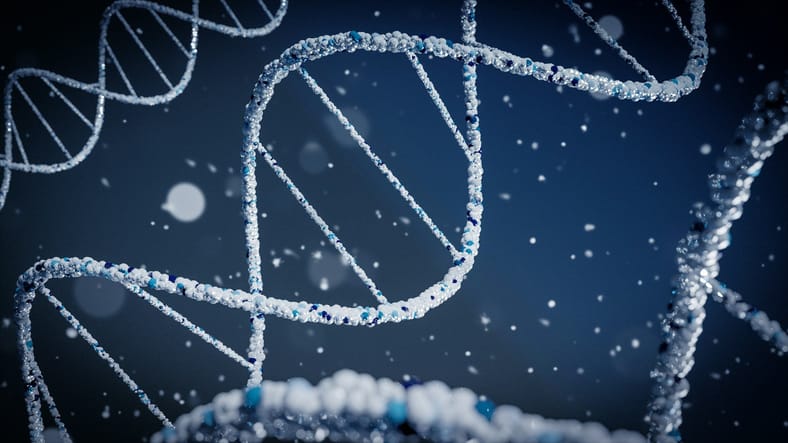 dna strands