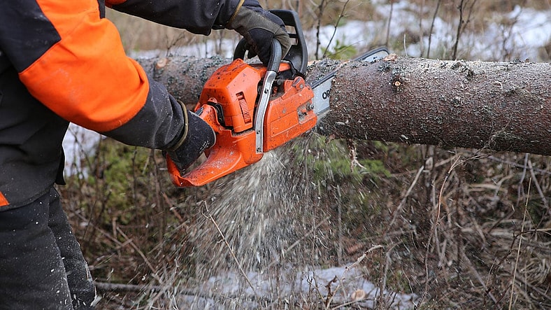 Best Mini Chainsaws