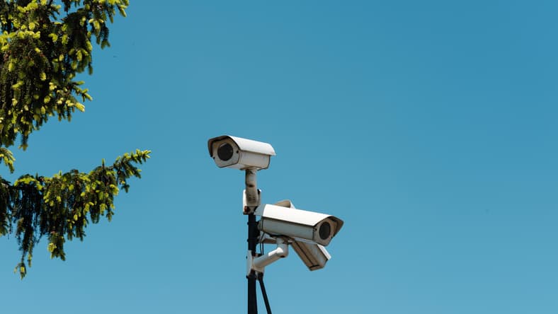 Why is the Ring camera system so popular?