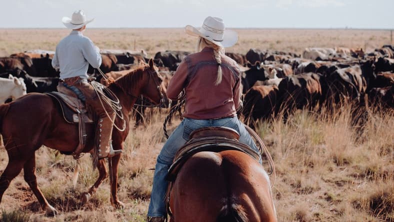 Myths About the Wild West Unsplash
