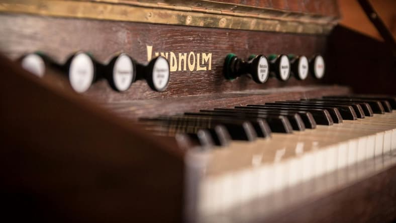 antique musical instruments