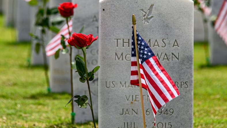 Fun Facts About Memorial Day Unsplash