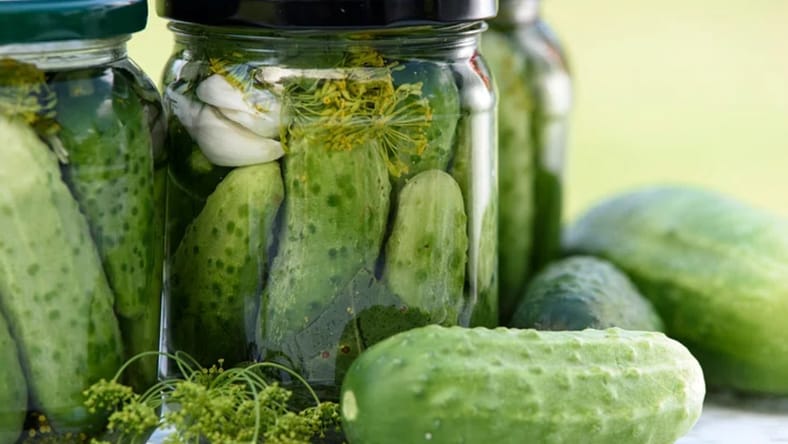 food preservation methods from history