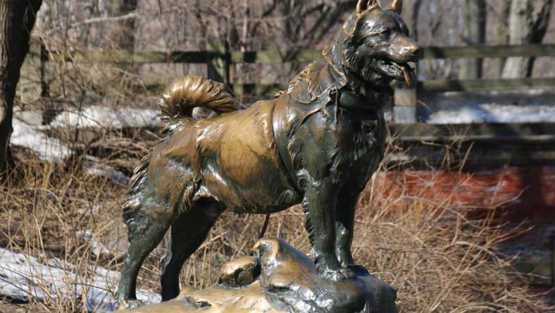 animals that changed history
