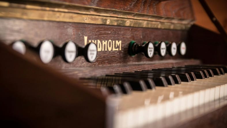 antique musical instruments
