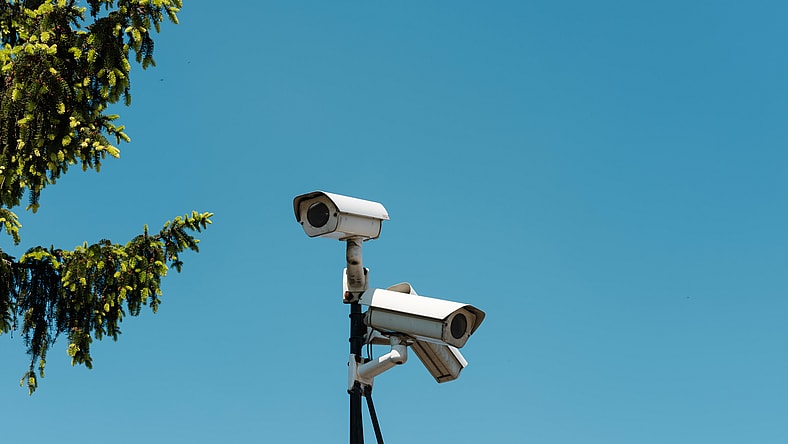 Why is the Ring camera system so popular?