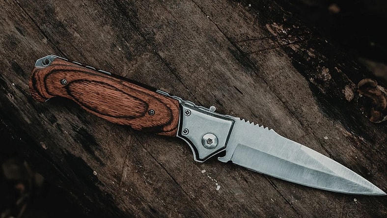 most expensive knives in the world