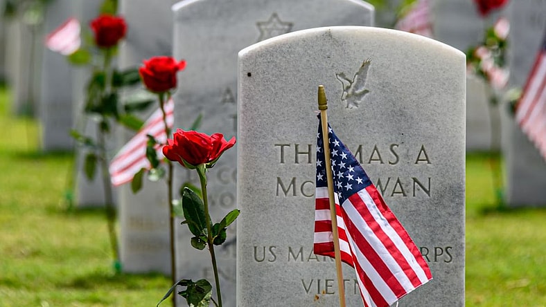 Fun Facts About Memorial Day Unsplash