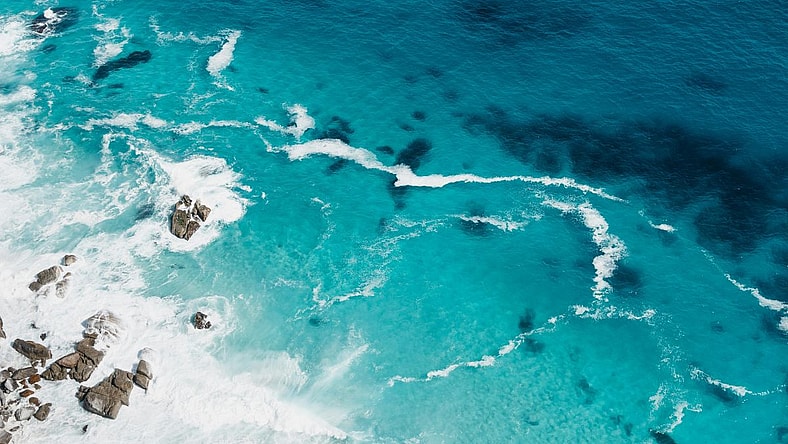 Weird Facts About the Ocean Unsplash