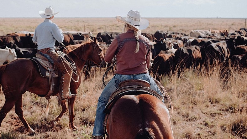 Myths About the Wild West Unsplash