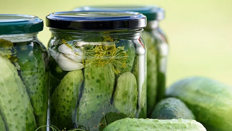 food preservation methods from history