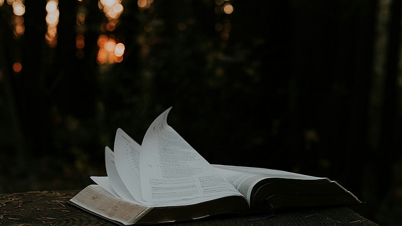 open book with dark background / horror novels
