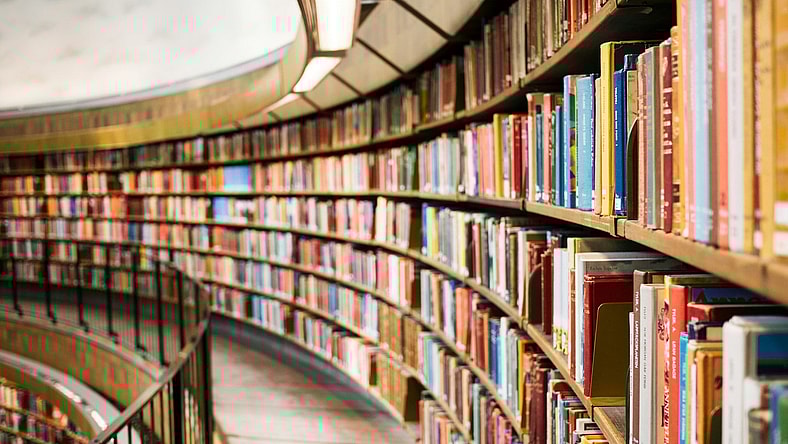 arched bookshelf / best books of 2025